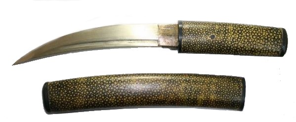 айкучи маэзаи